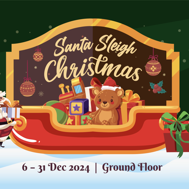 Santa Sleigh Christmas